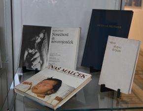 Doktorska disertacija in knjižni prvenci