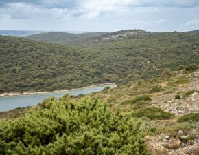 Eden od številnih zalivov na Žirju. Foto: Boštjan Kurent