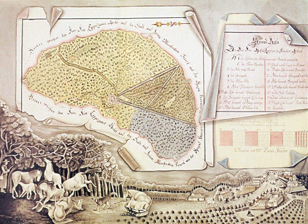 Floor plan schematic of the Karst Court Stud Farm in Lipica from 1780. The stud farm's management constantly upgraded the facilities and managed the pastures, improving the conditions for the breeding of noble horses. (source: kobilarna Lipica)