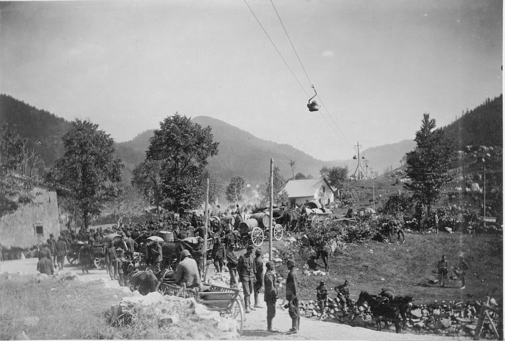 Horses as draught animals played an important role in supplying the army on the Isonzo Front. Borojević's 5th Army, for example, numbered 165,561 horses in March 1917. Despite the enormous needs, the core Lipizzaner herd was untouchable. (source: Društvo soška fronta)