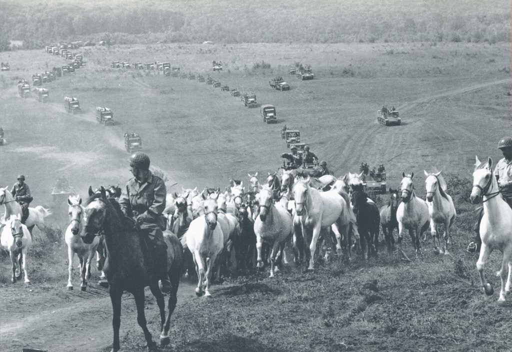 Relocating the herd from Hostouň was an enormous logistical undertaking. The herd was split into several smaller groups, and pregnant mares and young foals were loaded onto American military trucks. (source: Ivo Mihelič, Otroci burje)
